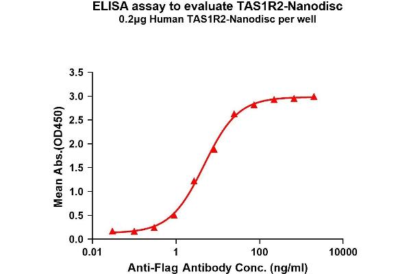 TAS1R2 蛋白