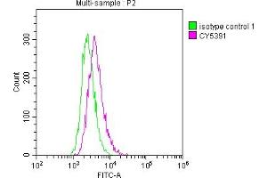 Overlay histogram showing Raji cells stained with ABIN7127559 (red line) at 1:50. (Recombinant ICAM1 抗体)