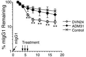 ELISA image for anti-IgG receptor FcRn (FcRn) antibody (ABIN7539618)