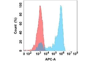 Flow cytometry analysis with Anti-Nectin4 on Expi293 cells transfected with human Nectin4 (Blue histogram) or Expi293 transfected with irrelevant protein (Red histogram). (PVRL4 抗体)