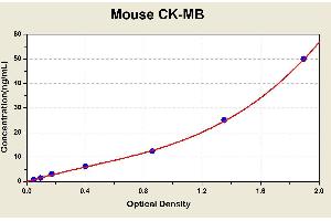 Diagramm of the ELISA kit to detect Mouse CK-MBwith the optical density on the x-axis and the concentration on the y-axis. (Creatine Kinase MB ELISA 试剂盒)