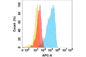 Flow cytometry analysis with Anti-CHODL on Expi293 cells transfected with human CHODL (Blue histogram) or Expi293 transfected with irrelevant protein (Red histogram), and Isotype antibody on Expi293 transfected with irrelevant protein (Orange histogram). (CHODL 抗体)