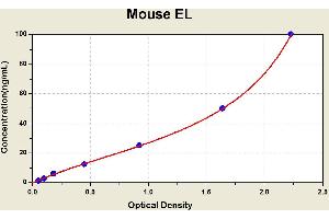 Diagramm of the ELISA kit to detect Mouse ELwith the optical density on the x-axis and the concentration on the y-axis. (LIPG ELISA 试剂盒)