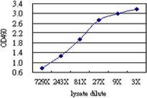 Sandwich ELISA detection sensitivity ranging from approximately 729x to 3x dilution of the FCER1A 293T overexpression lysate (non-denatured). (FCER1A (人) Matched Antibody Pair)