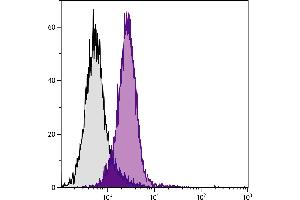 BALB/c mouse splenocytes were stained with Rat Anti-Mouse CD2-BIOT. (CD2 抗体  (Biotin))