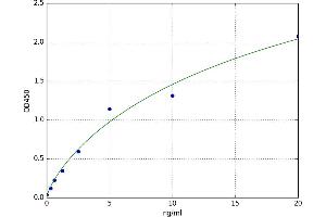 A typical standard curve (DNAJB8 ELISA 试剂盒)