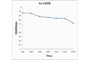 ELISA image for anti-Catenin, beta (CATNB) (AA 661-781) antibody (ABIN738621)