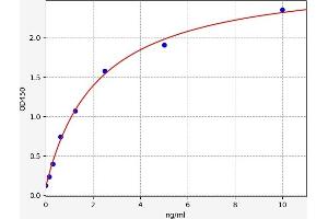 Myocardin ELISA 试剂盒