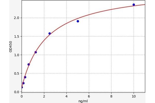 Myocardin ELISA 试剂盒