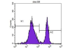 Flow Cytometry (FACS) image for anti-CD4 (CD4) antibody (ABIN1847199) (CD4 抗体)