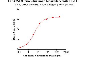 ELISA plate pre-coated by 2 μg/mL (100 μL/well) Human B7-H3, mFc-His tagged protein ABIN6961085, ABIN7042199 and ABIN7042200 can bind Anti-B7-H3 Neutralizing antibody in a linear range of 0. (Recombinant B7-H3 (Enoblituzumab Biosimilar) 抗体)
