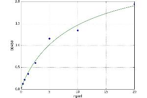 A typical standard curve (WNT4 ELISA 试剂盒)