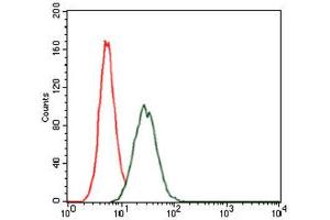 Flow Cytometry (FACS) image for anti-RAP1A, Member of RAS Oncogene Family (RAP1A) antibody (ABIN1845372) (RAP1A 抗体)