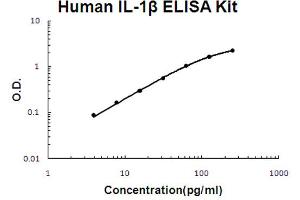 ELISA image for Interleukin 1, beta (IL1B) ELISA Kit (ABIN6719744)