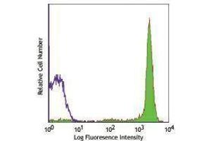 Flow Cytometry (FACS) image for anti-CD90/CD90.1 antibody (FITC) (ABIN2661862) (CD90/CD90.1 抗体 (FITC))