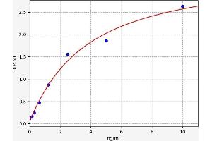 Casein Kinase 1 delta ELISA 试剂盒