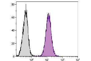 Mouse Mφ cells were intracellularly stained with Rat  Anti-Mouse CD107a-APC. (LAMP1 抗体  (APC))