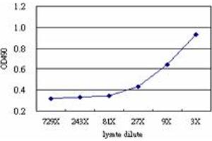 Sandwich ELISA detection sensitivity ranging from approximately 27x to 3x dilution of the PLEK 293T overexpression lysate (non-denatured). (PLEK (人) Matched Antibody Pair)