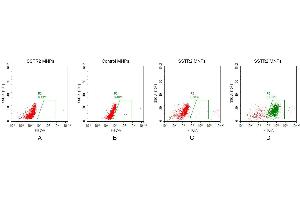 FACS analysis of S MNPs A. (SSTR2 蛋白)