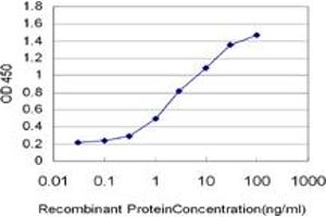 Detection limit for recombinant GST tagged IRF2 is approximately 0. (IRF2 抗体  (AA 216-315))