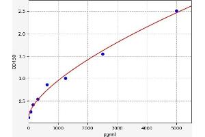 Typical standard curve (TDGF1 ELISA 试剂盒)