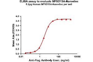 Elisa plates were pre-coated with Flag Tag MA-Nanodisc (0. (TMEM180 蛋白)