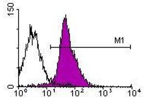 Image no. 1 for anti-Integrin alpha-L (ITGAL) antibody (FITC) (ABIN135125) (ITGAL 抗体  (FITC))