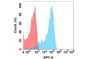 Flow cytometry analysis with Anti-EREG on Expi293 cells transfected with human EREG (Blue histogram) or Expi293 transfected with irrelevant protein (Red histogram). (Epiregulin 抗体)