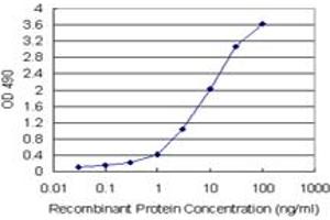 Sandwich ELISA detection sensitivity ranging from 0. (PNMA1 (人) Matched Antibody Pair)