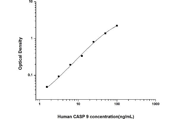 Caspase 9 ELISA 试剂盒