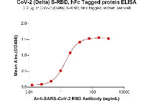 ELISA image for SARS-CoV-2 Spike (B.1.617.2 - delta), (RBD) protein (Fc Tag) (ABIN7490659)