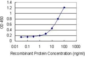 Detection limit for recombinant GST tagged RAMP1 is 0. (RAMP1 抗体  (AA 27-117))