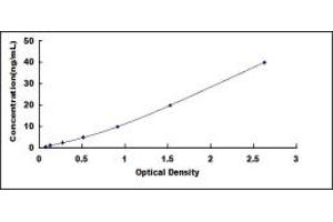 Typical standard curve (TIMP1 ELISA 试剂盒)