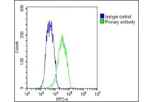 Overlay histogram showing Hela cells stained with (ABIN1538018 and ABIN2850097)(green line). (GDE1 抗体  (AA 192-219))