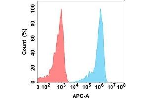 Flow cytometry analysis with Anti-CD30L (DM201) on Expi293 cells transfected with human CD30L (Blue histogram) or Expi293 transfected with irrelevant protein (Red histogram). (TNFSF8 抗体)