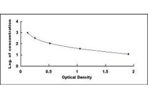 Typical standard curve (gamma-Endorphin ELISA 试剂盒)