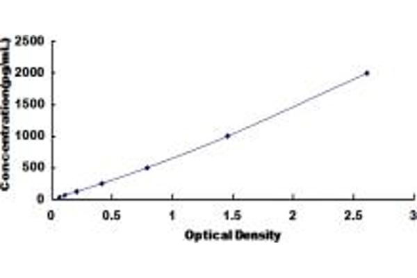 DEFB103A ELISA 试剂盒