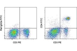 Image no. 1 for anti-CD4 (CD4) antibody (FITC) (ABIN474121) (CD4 抗体  (FITC))