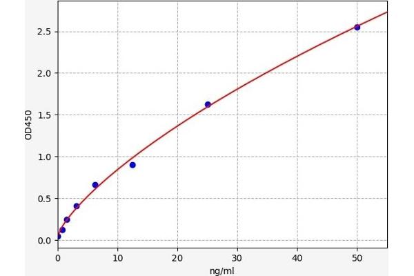 WNT5B ELISA 试剂盒