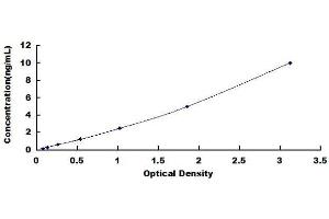 ELISA image for Growth Hormone 1 (GH1) ELISA Kit (ABIN1570036) (Growth Hormone 1 ELISA 试剂盒)