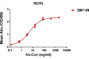 ELISA plate pre-coated by 1 μg/mL (100 μL/well) Human protein, His tagged protein ABIN6964103, ABIN7042461 and ABIN7042462 can bind Rabbit anti- monoclonal antibody (clone: DM149) in a linear range of 1-50 ng/mL. (ROR1 抗体  (AA 30-403))