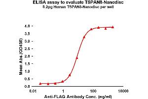 Elisa plates were pre-coated with Flag Tag TS-Nanodisc (0. (Tspan-8 蛋白)