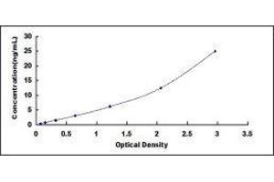 Typical standard curve (beta-2 Microglobulin ELISA 试剂盒)