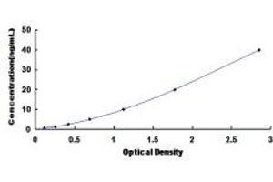 Typical Standard Curve (Major Basic Protein ELISA 试剂盒)