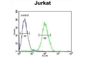 Flow Cytometry (FACS) image for anti-Ribosomal Protein S3A (RPS3A) antibody (ABIN3002375) (RPS3A 抗体)