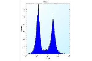 Flow Cytometry (FACS) image for anti-CD27 Molecule (CD27) antibody (ABIN2997506) (CD27 抗体)