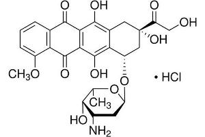 Chemical structure of Doxorubicin Hydrochloride , a Autophagy inducer. (Doxorubicin Hydrochloride)
