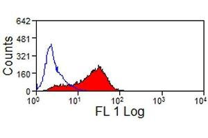 Flow Cytometry (FACS) image for anti-Junctional Adhesion Molecule 3 (JAM3) antibody (ABIN2475176) (JAM3 抗体)