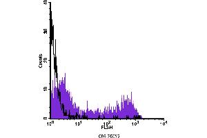 Flow Cytometry (FACS) image for anti-CD8 (CD8) antibody (PE-Cy5) (ABIN2144354) (CD8 抗体  (PE-Cy5))