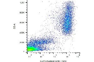 Flow cytometry analysis (surface staining) of CD15 in human peripheral blood with anti-CD15 (MMA) purified, GAM-APC. (CD15 抗体)